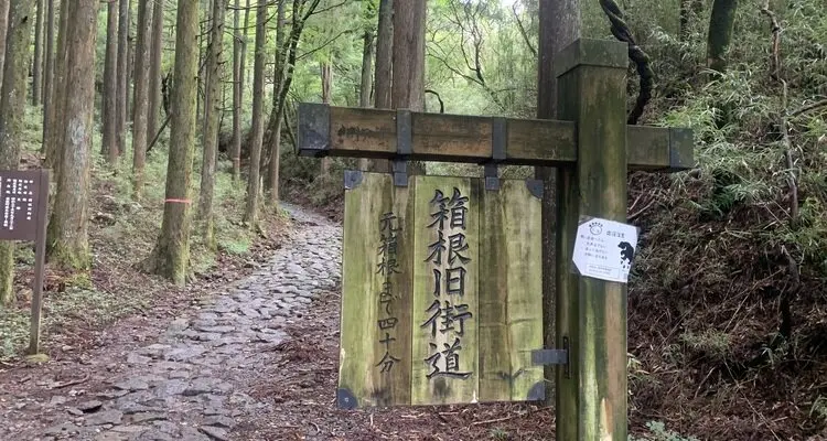 Old Tokaido - Hakone Hachiri Walking,Japan
