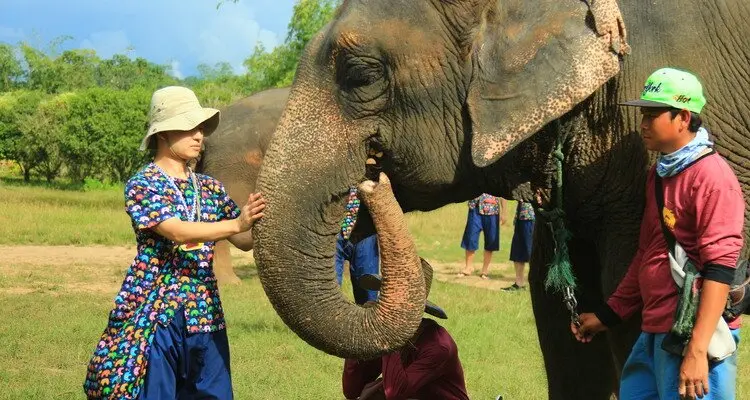 Kanta Elephant Sangtuary