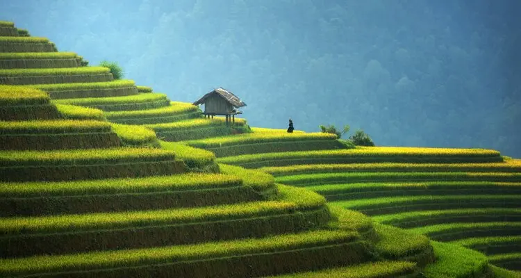 Sapa's Muong Hoa Valley