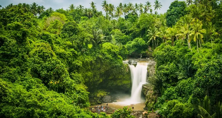 Bali waterfalls