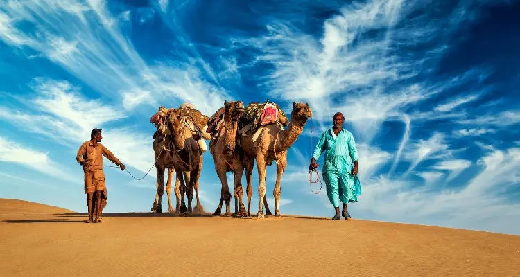 camel ride
