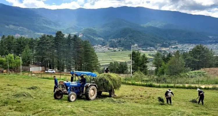 the farm in Ura valley
