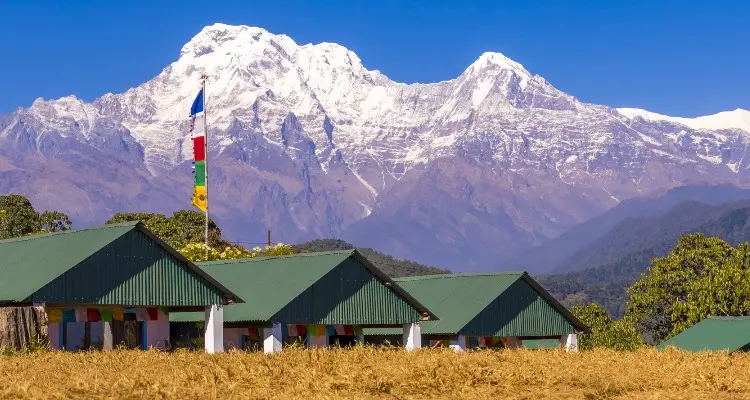 house with green roof and the snow mountain