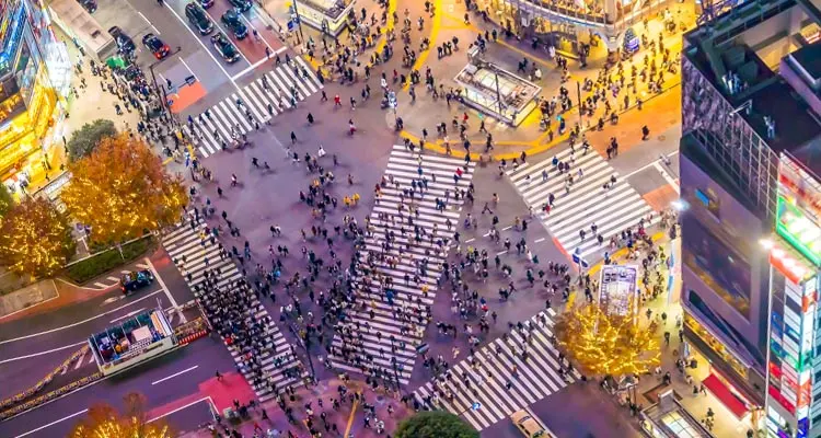 the busy Shibuya crossroad